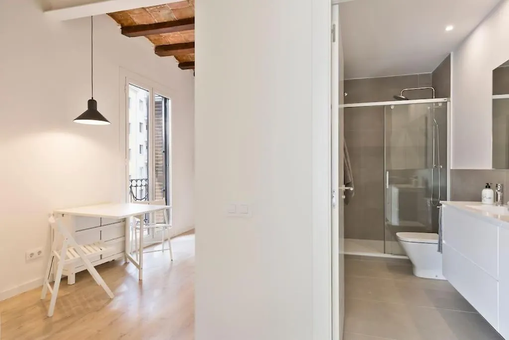 Modern And Bright Apartment Well Located In Gracia Barcelona Spain