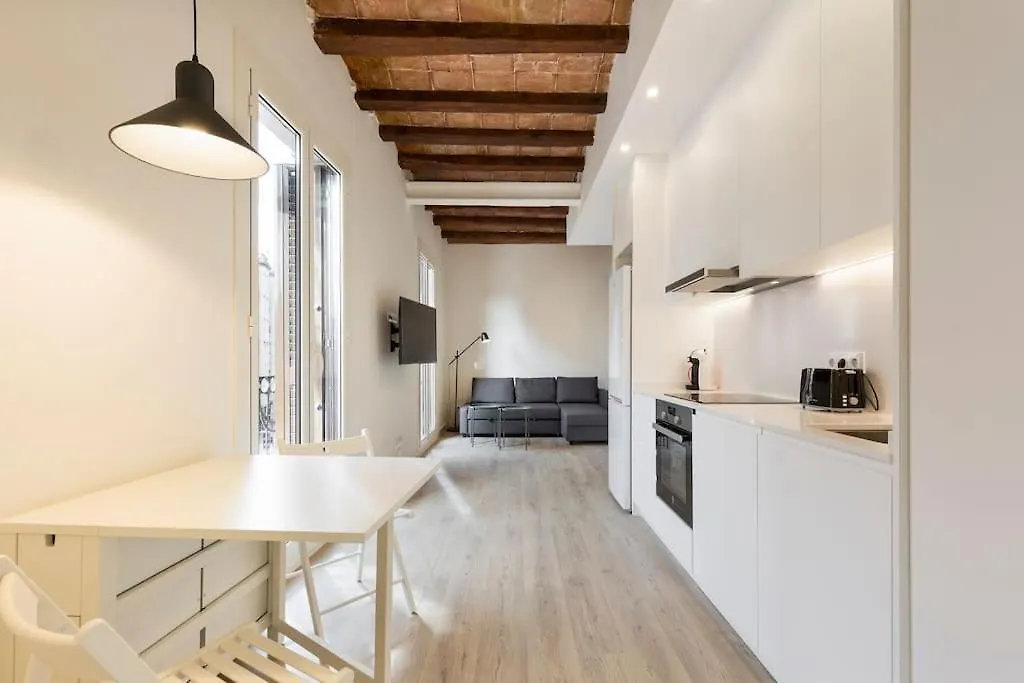 Modern And Bright Apartment Well Located In Gracia Barcelona Spain